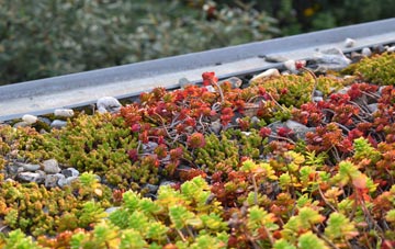 the cost of West Overton green roof installation