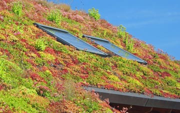 West Overton living roof systems