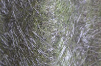 West Overton fibreglass roof work